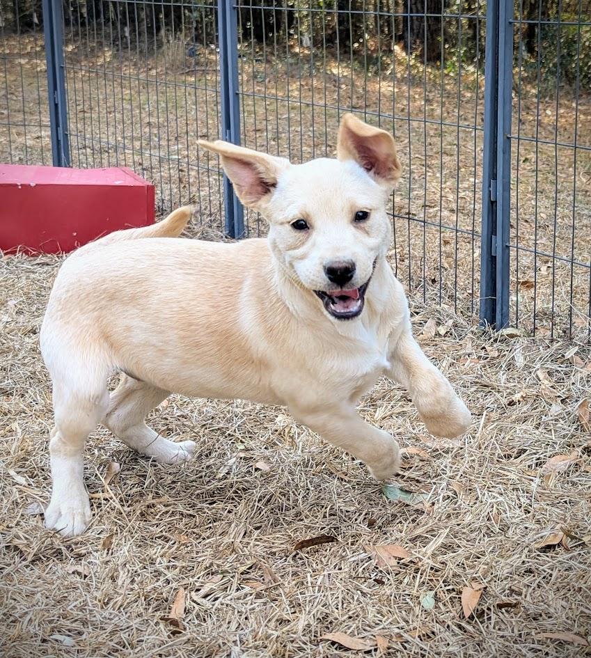 Daisy Leigh Jones photo 1