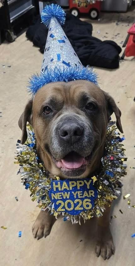 Brutus! Sweetest Mushy Extra