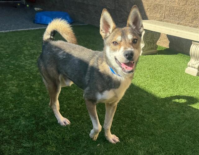 Urgent! Save Me Please! photo 1