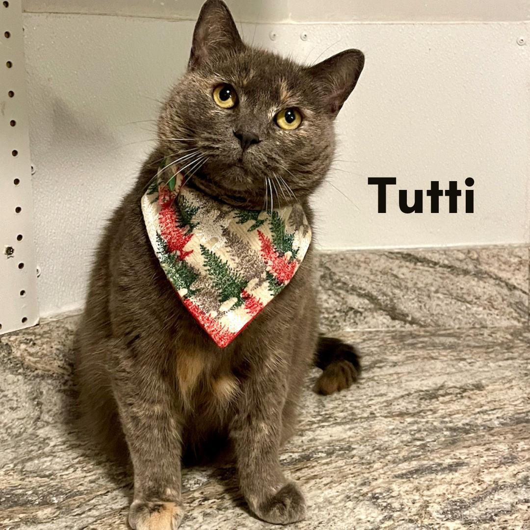 Tutti