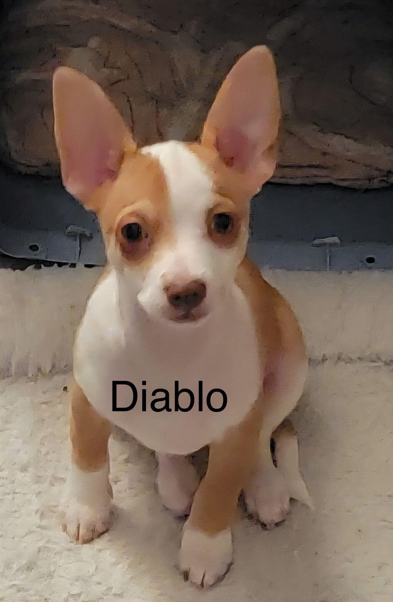 Diablo Jul