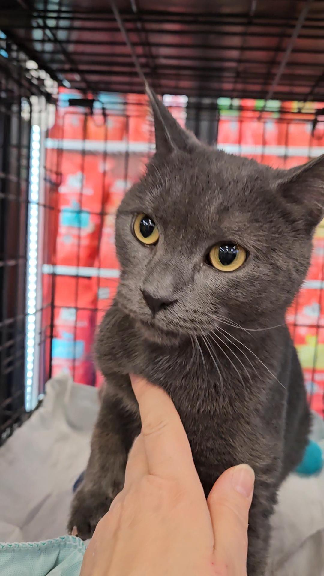 Pinecone Soft Loverboy photo 1