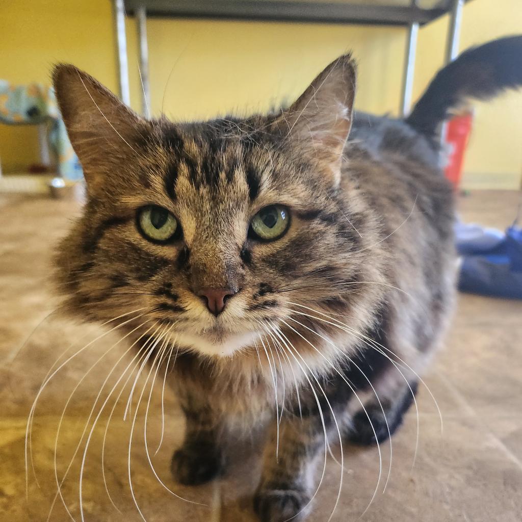 Sister Kerry photo 1