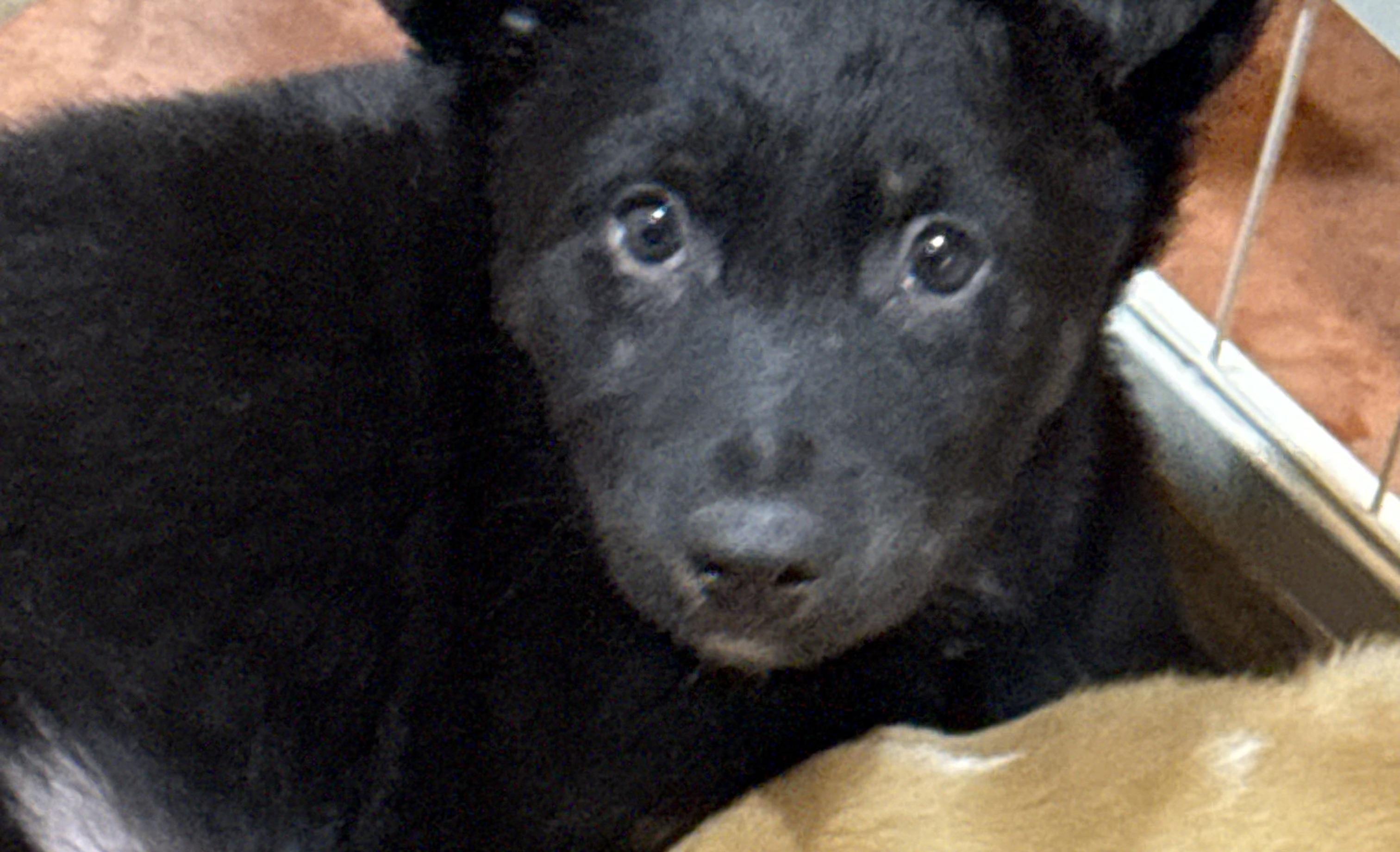 Mr. Delightful Derrick