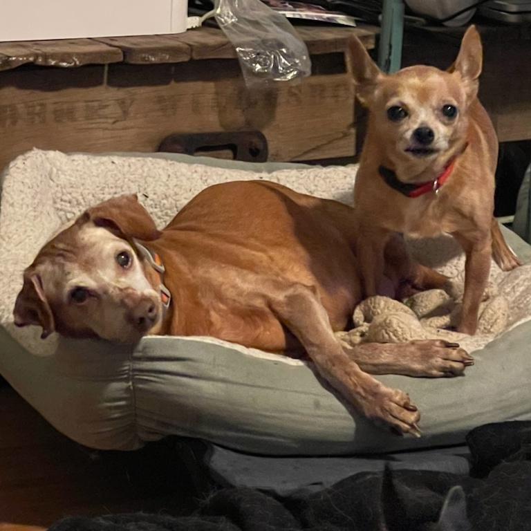 Denzel And Cameron Bonded