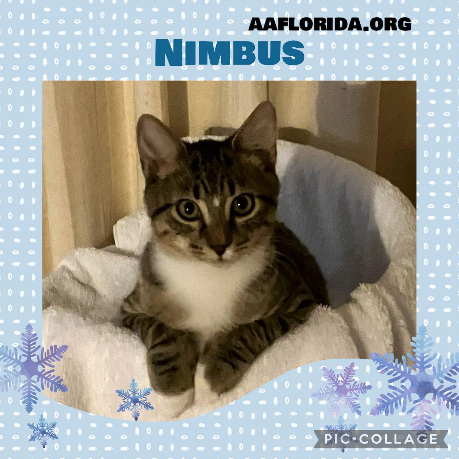 Nimbus