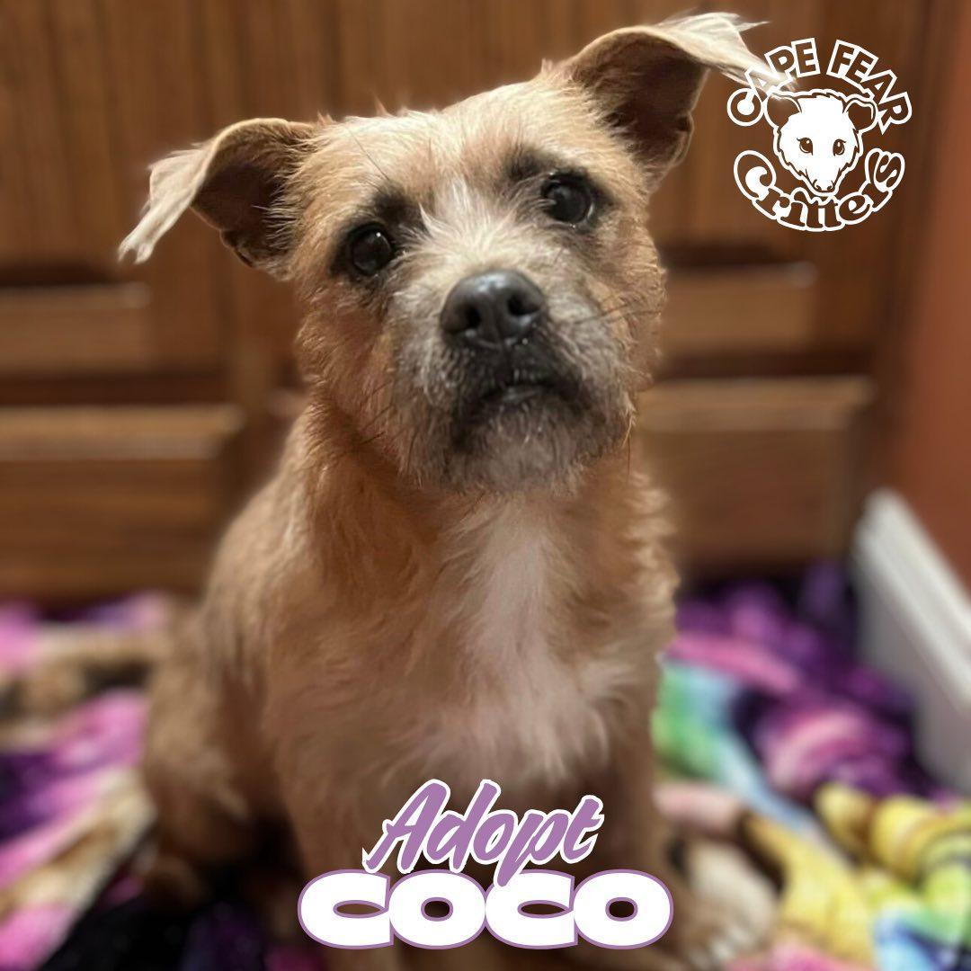 Coco