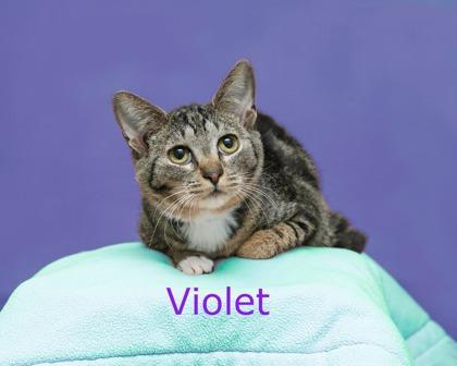 Violet