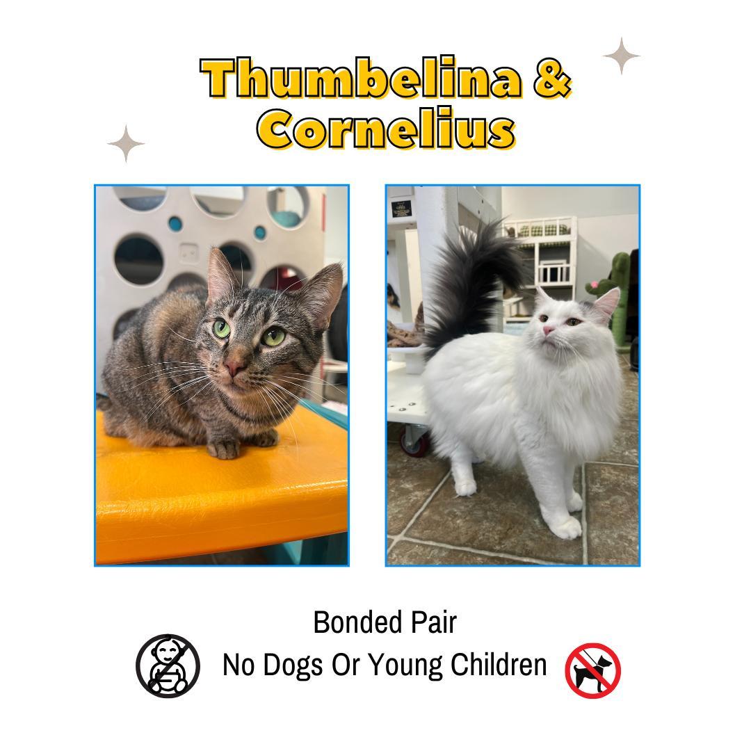 Thumbelina & Cornelius