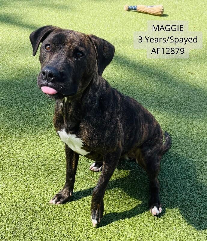 Maggie