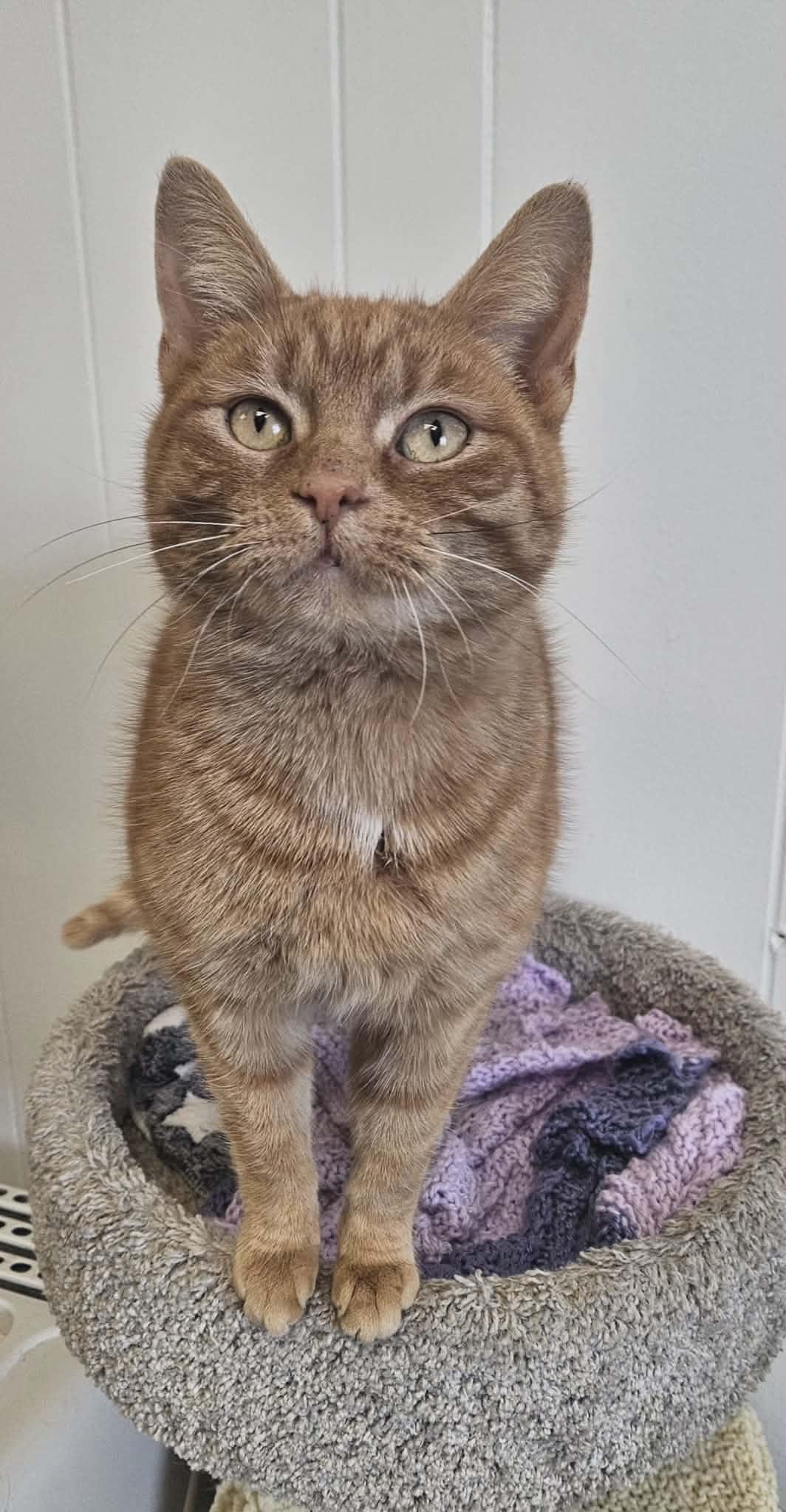 Marlene Ann "marlene"