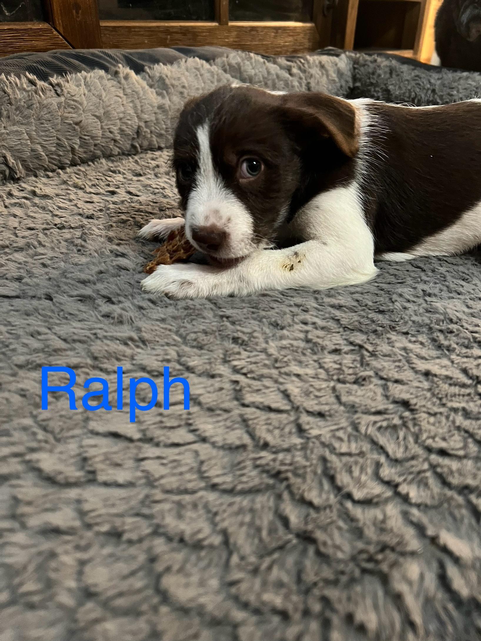 Ralph