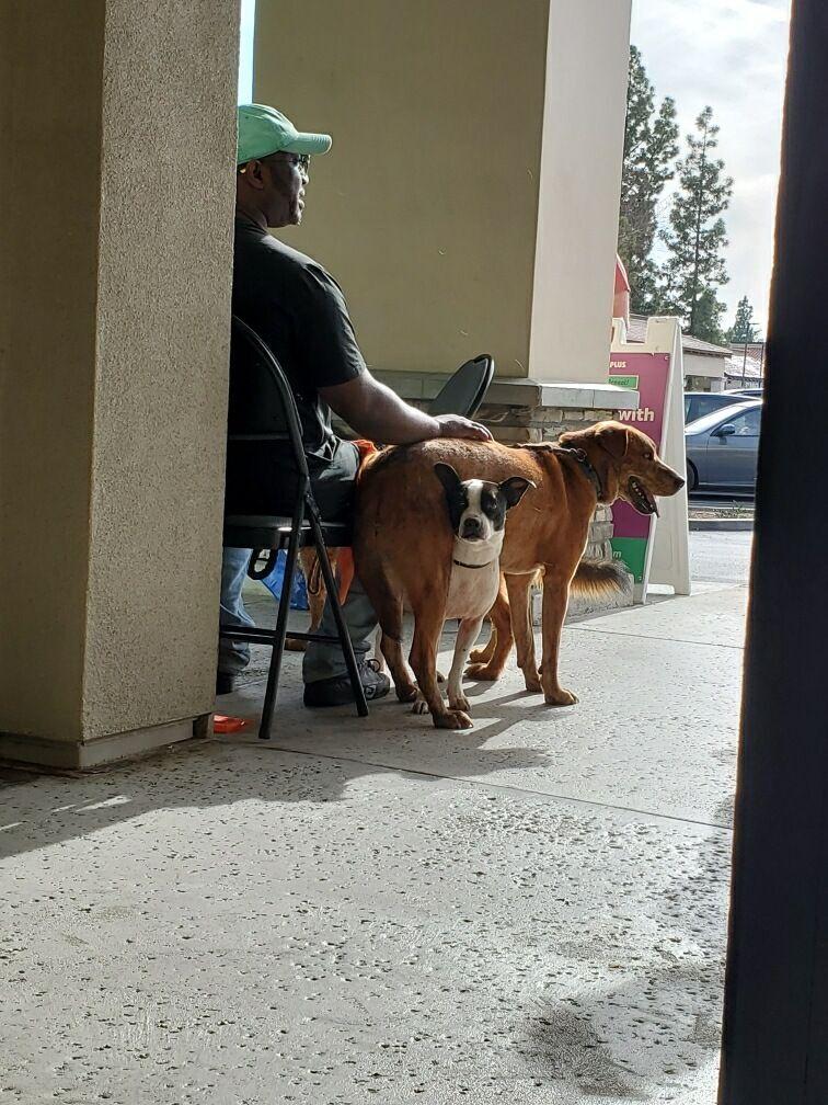 Darwinian Darwin The