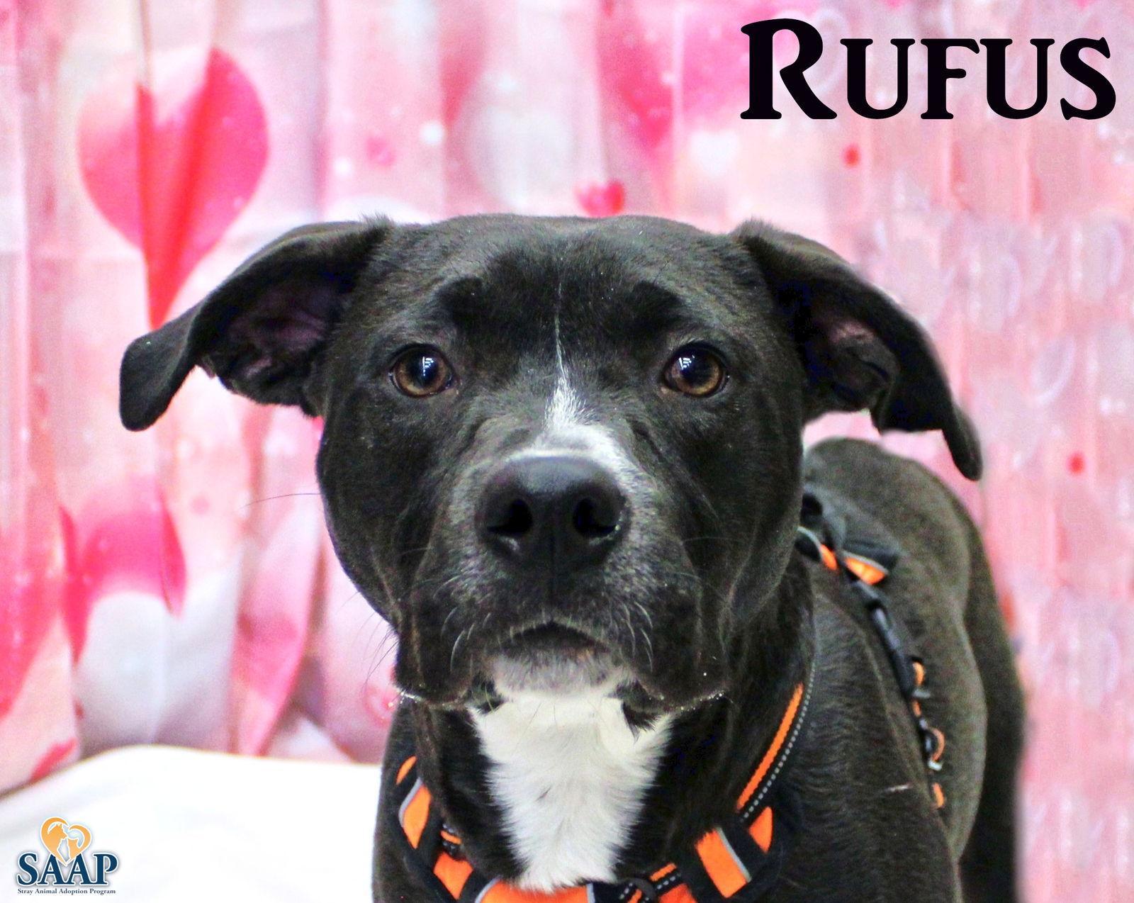 Rufus