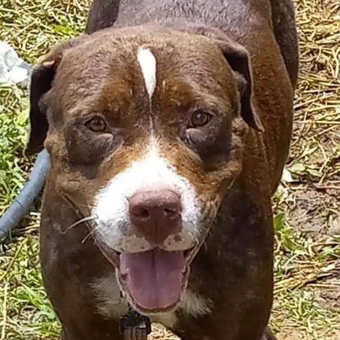 Sailor "yours Forever." photo 1