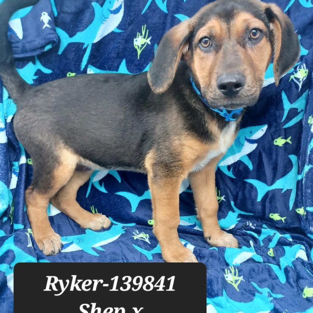 Ryker