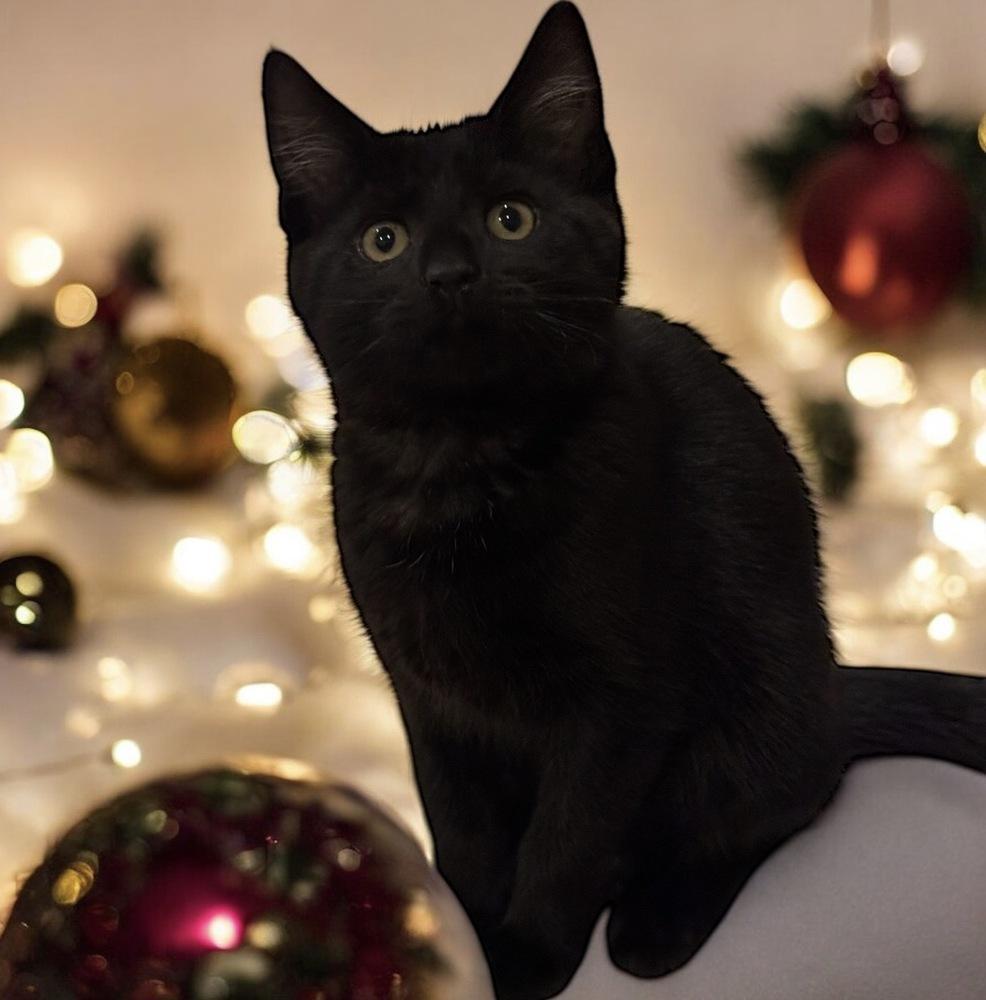 Twink Rainbow Brite Sailor