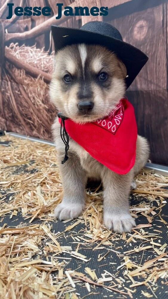 Jesse James