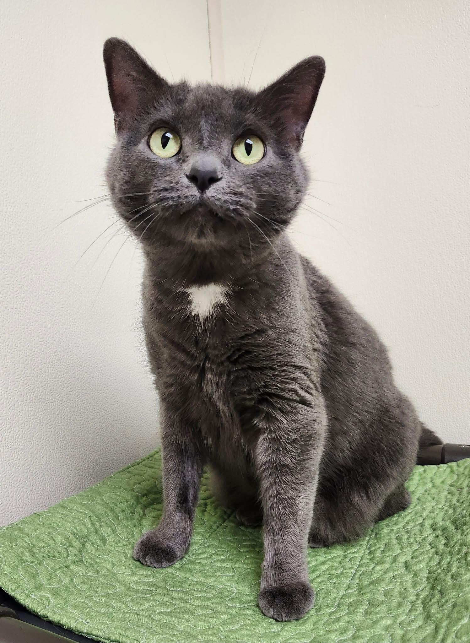 Serena Snuggly Lovergirl!