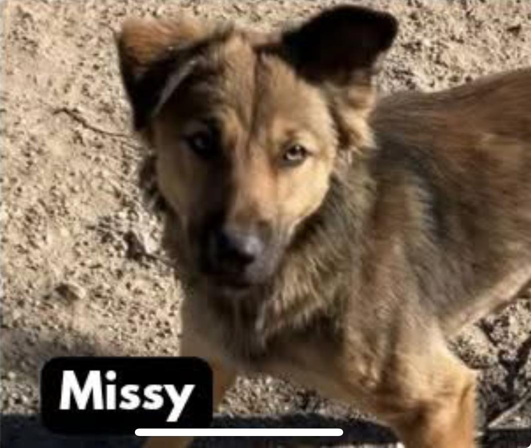 Missy