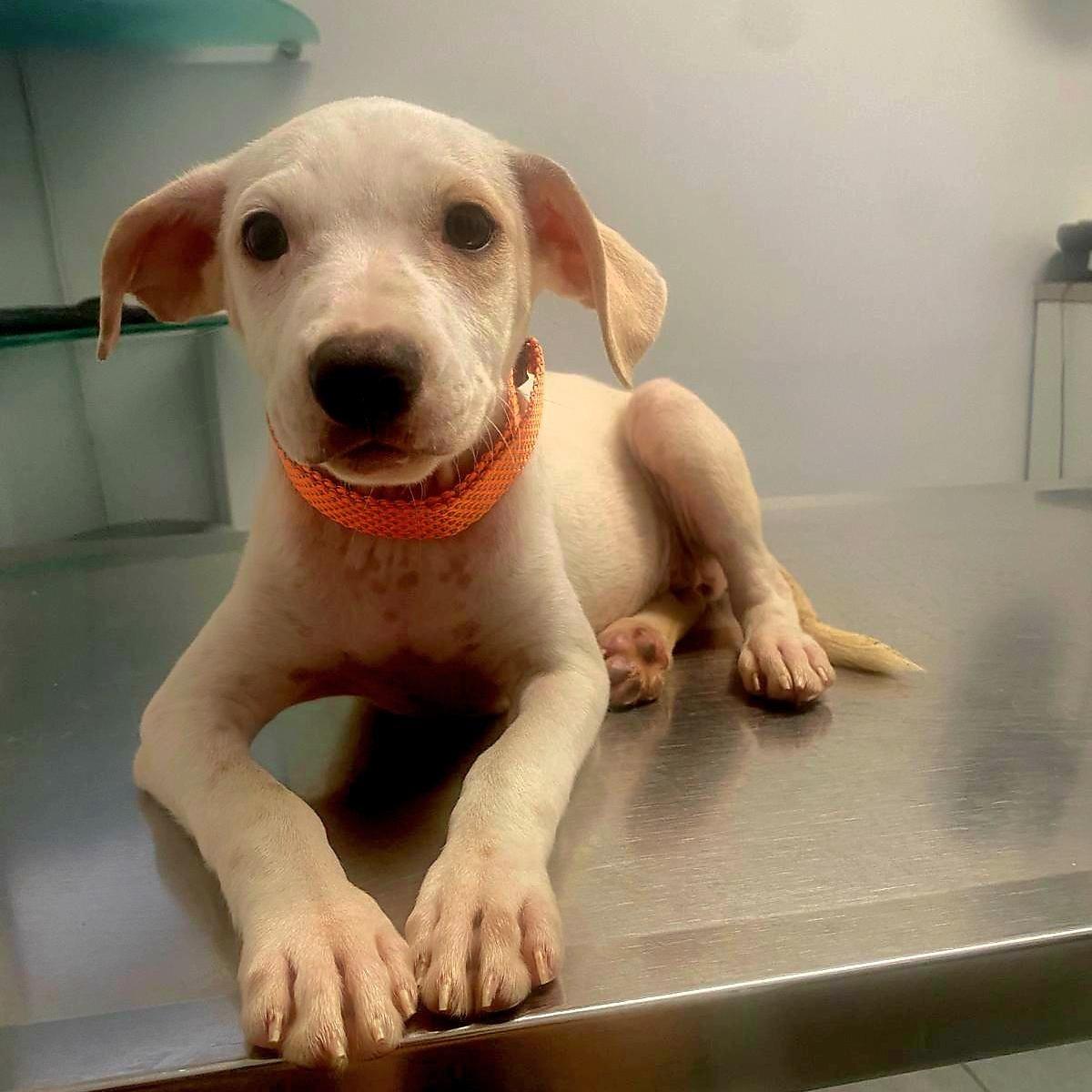 Tabitha "our Dreams Await."