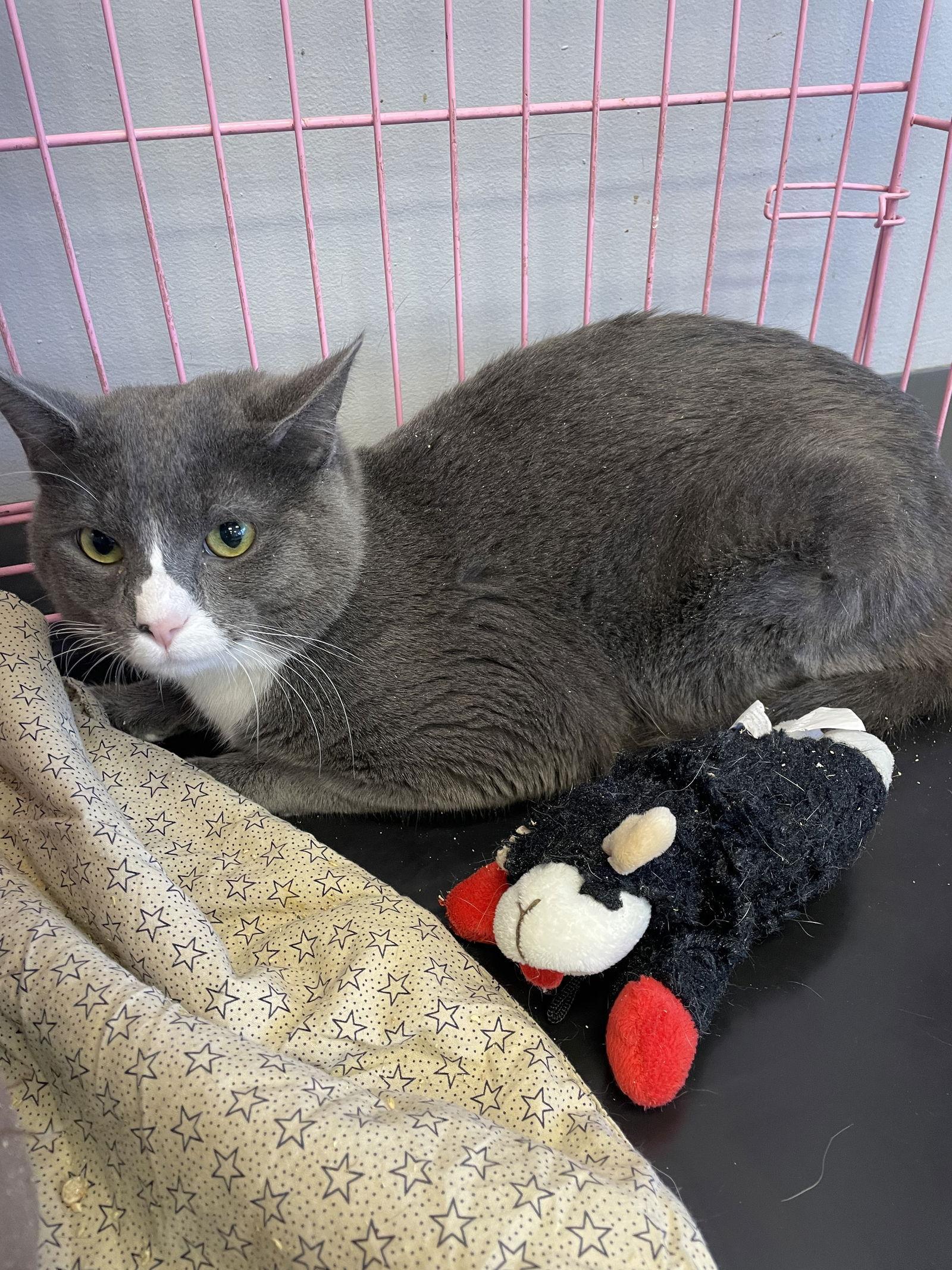 Lightning Must Apply In