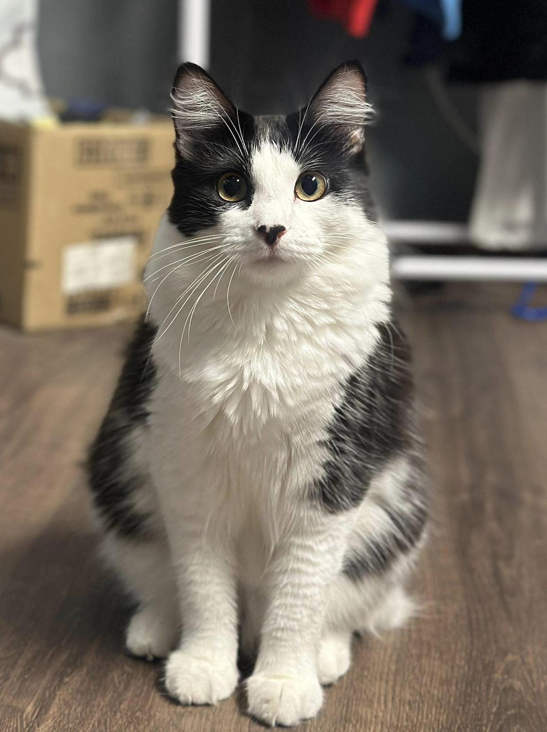 Charlotte So Pretty!