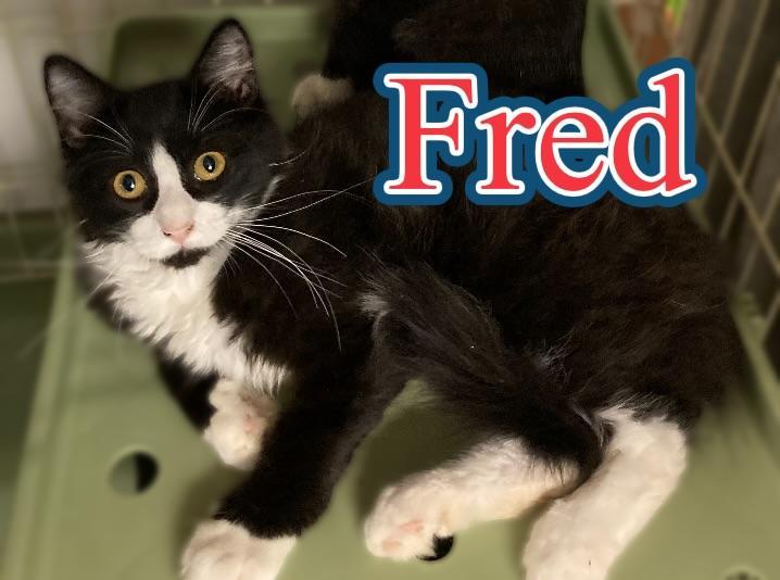 Fred