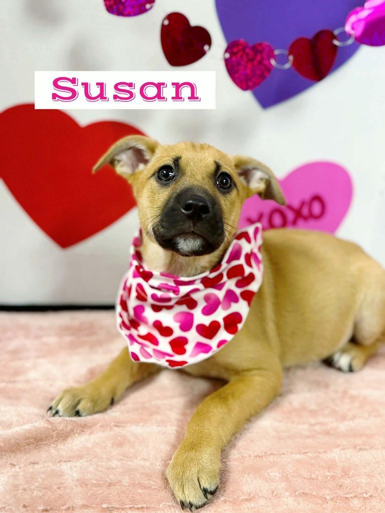 Susan