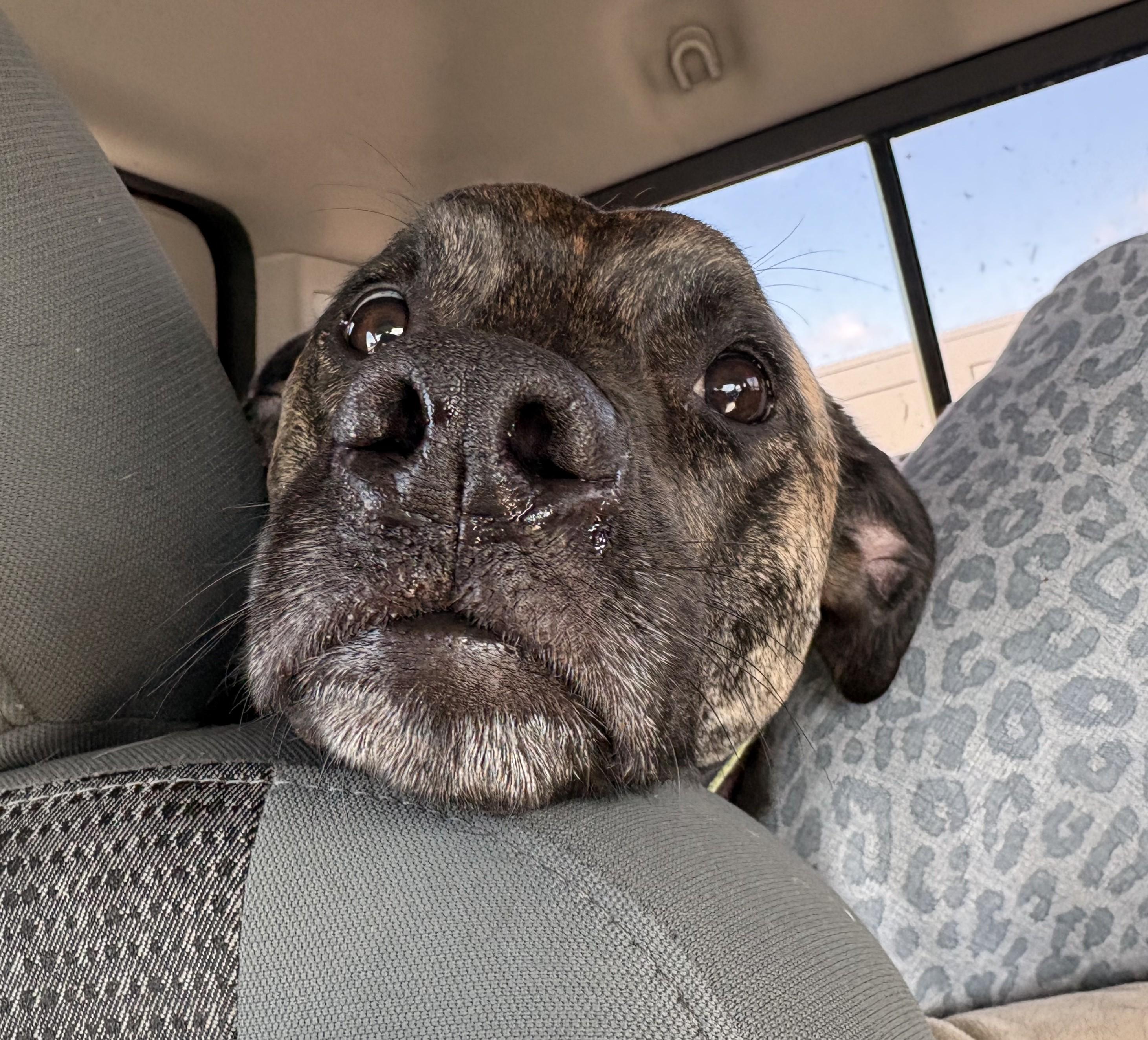 Becka Courtesy Listing