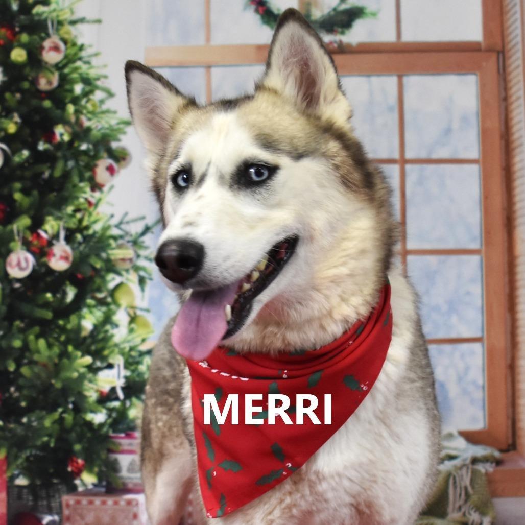 Merri
