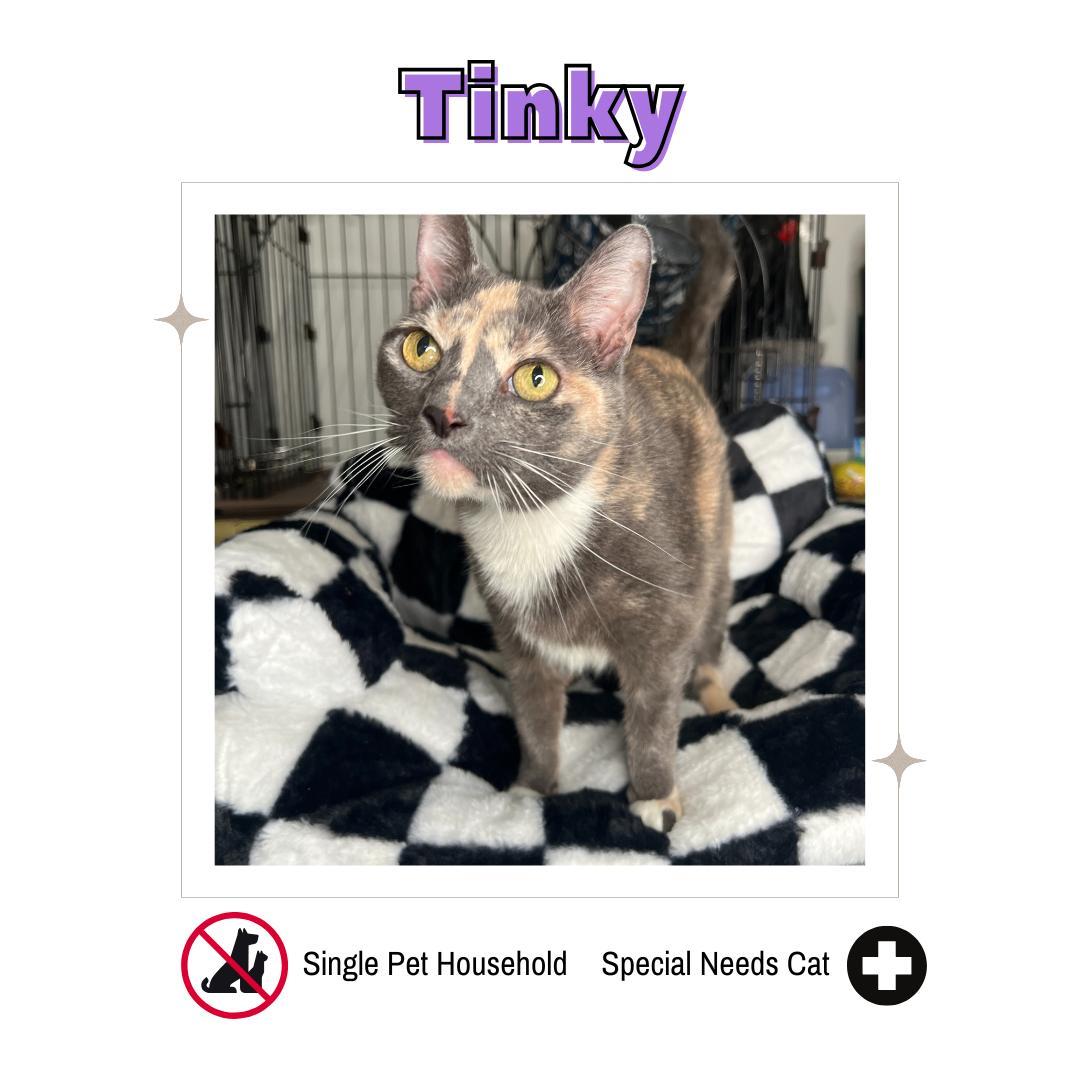 Tinky