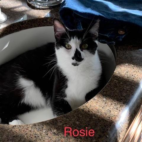 Rosie R. Courtesy Listing