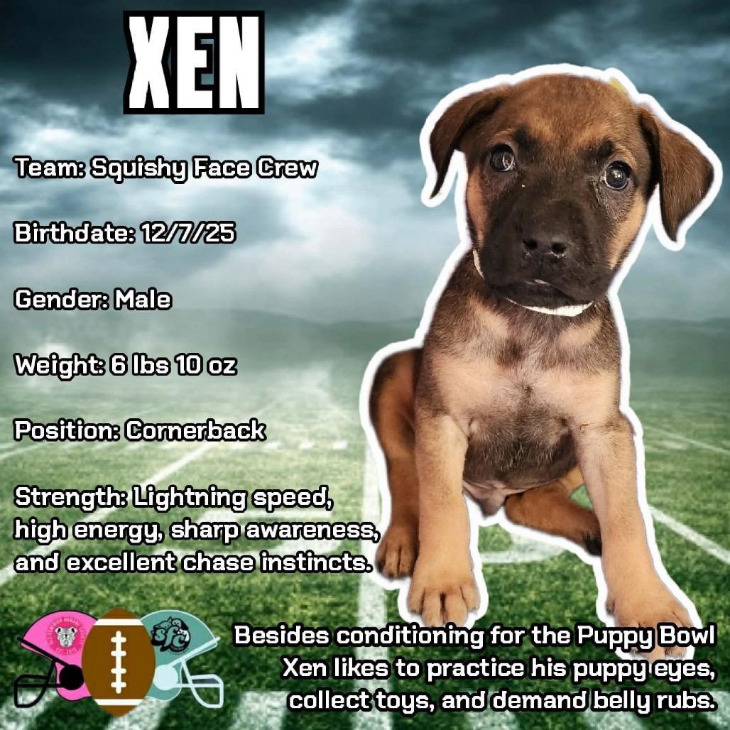 Xen