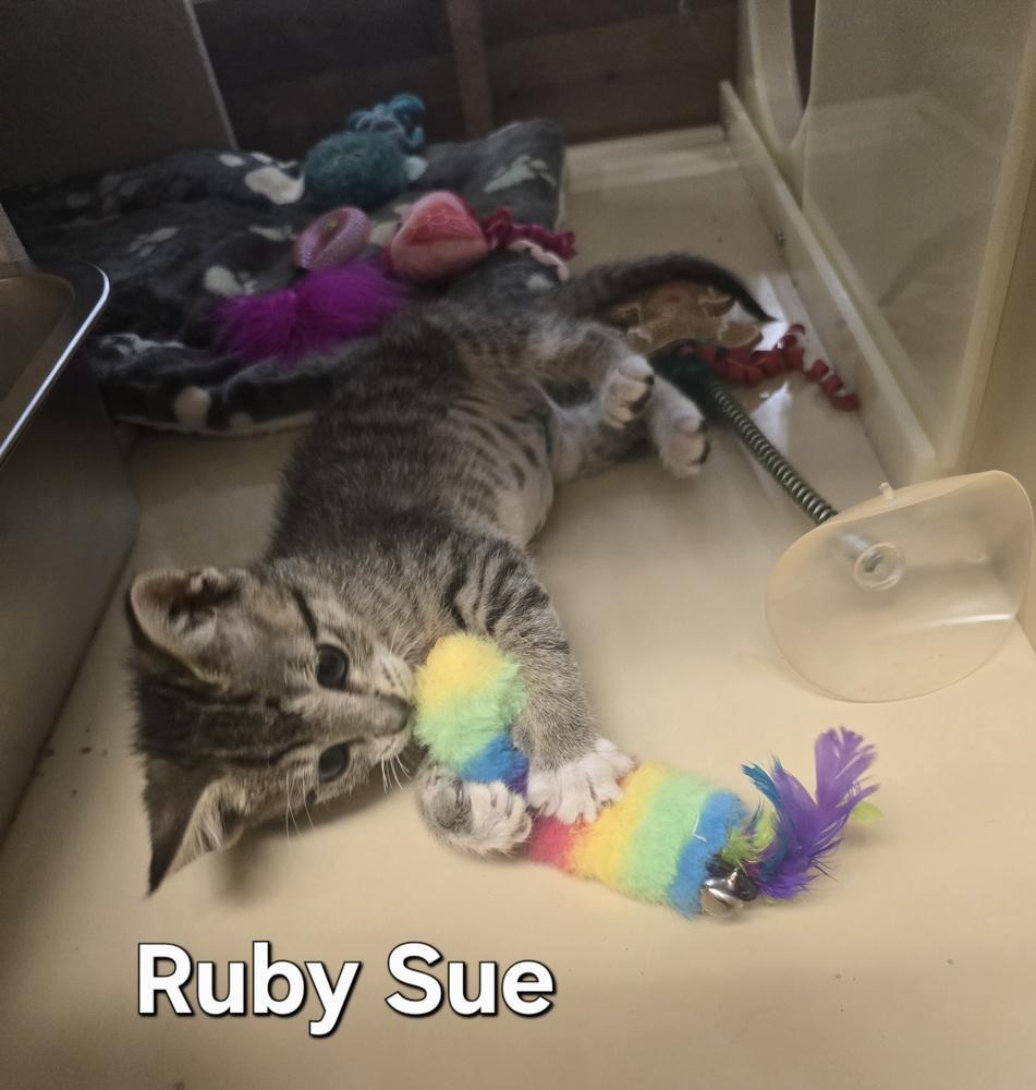 Ruby Sue