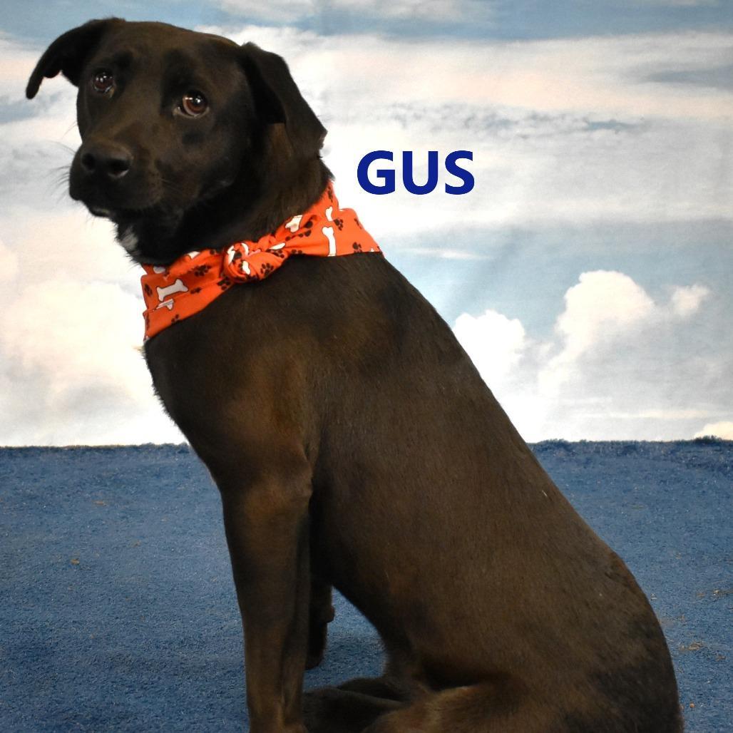 Gus