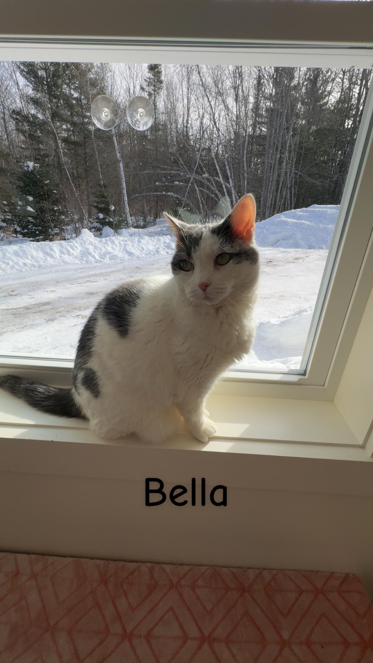 Bella