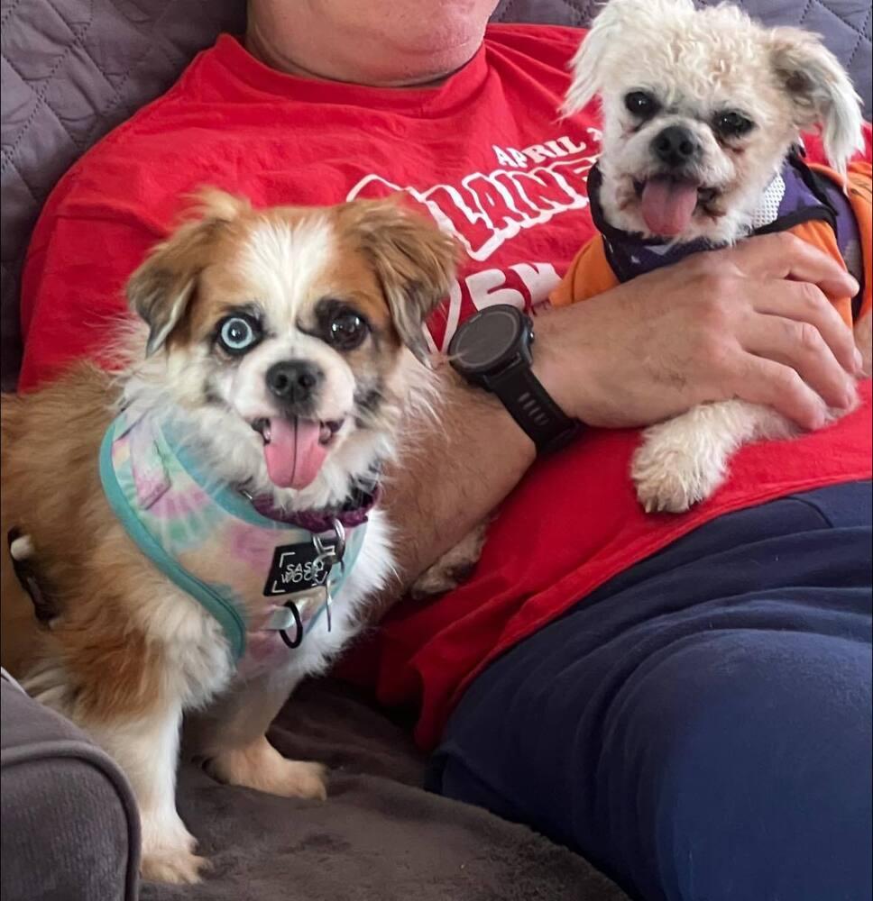 Star And Pina Bonded