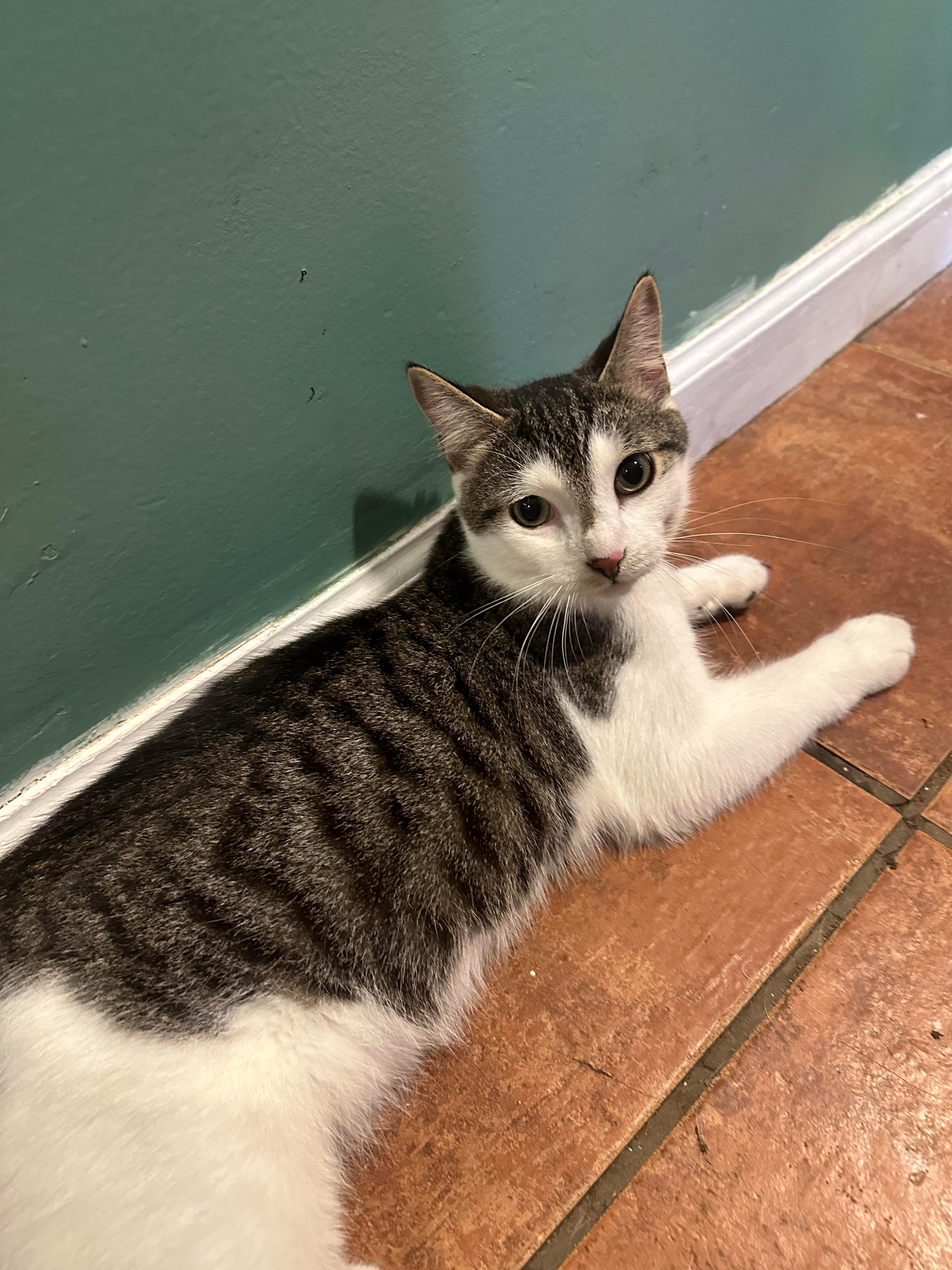 Eddie Munster The Nd