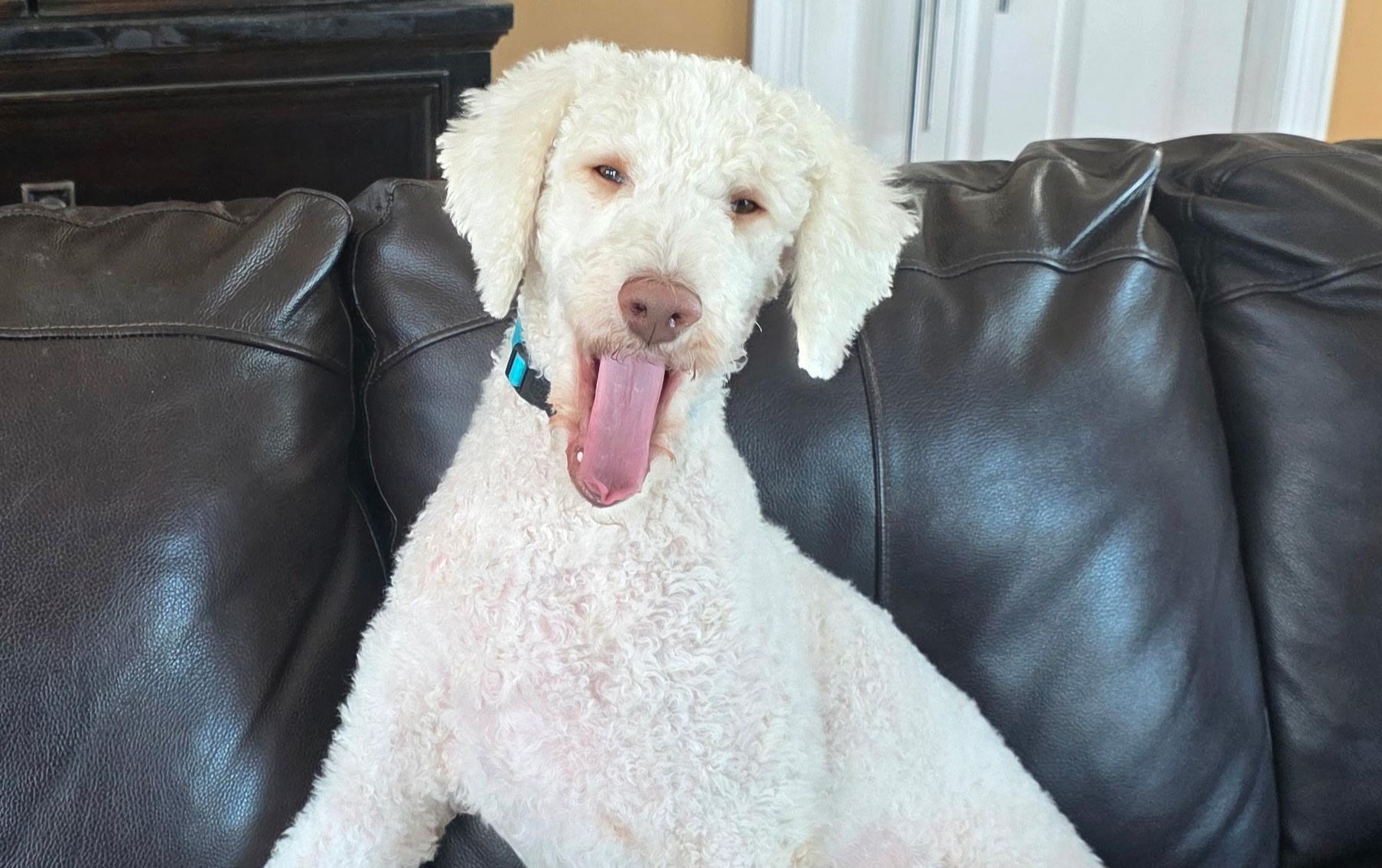 Dorothysmiley