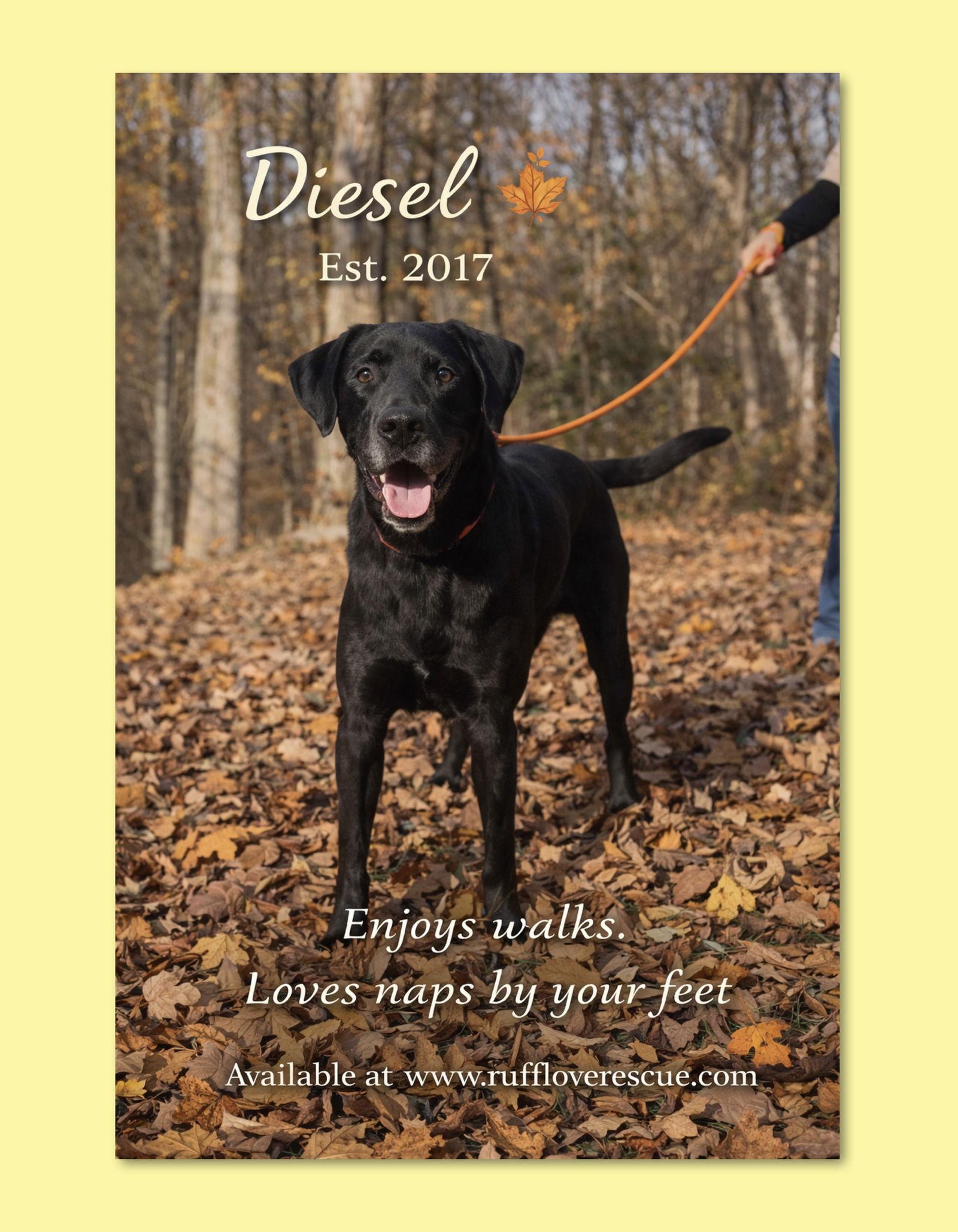 Diesel