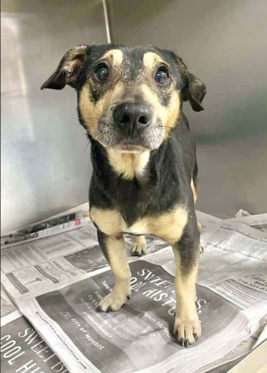 Peepaw In Ri photo 1