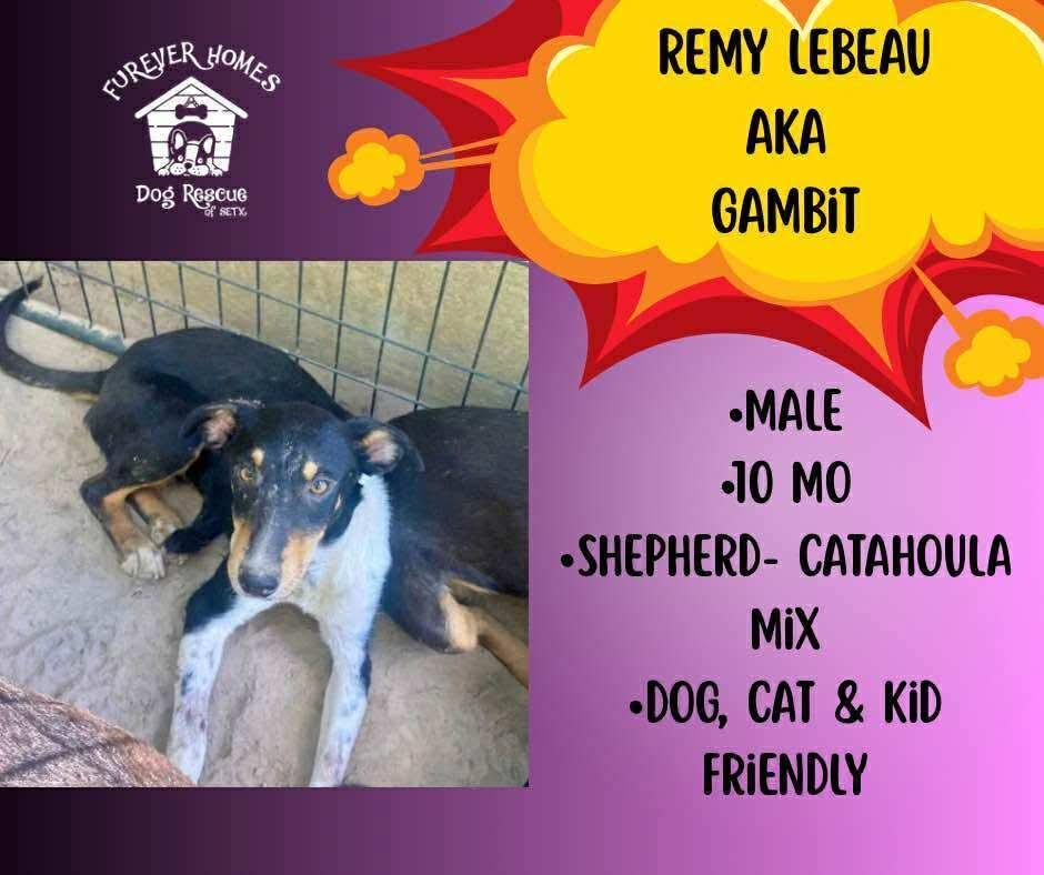 Remy Lebeau Aka Gambit