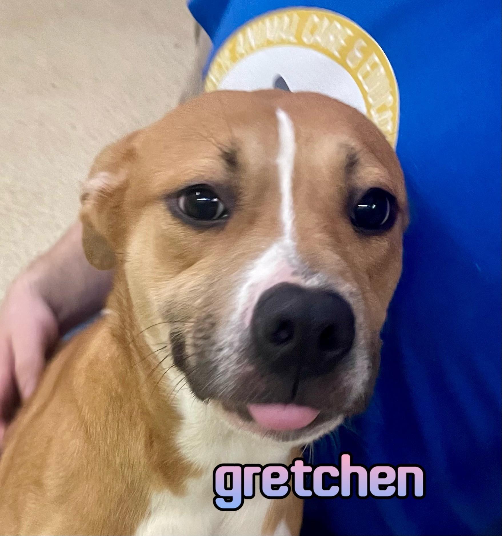 Gretchen