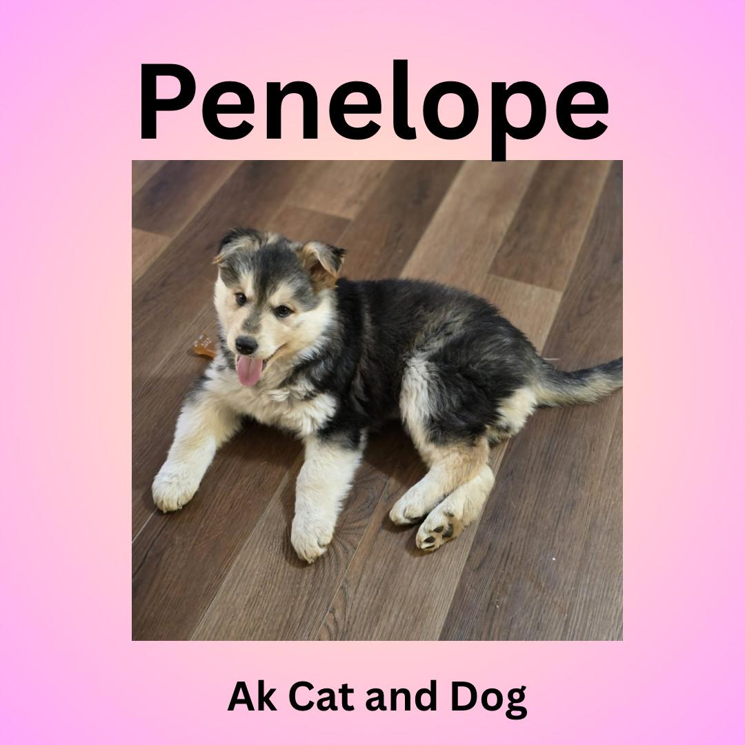 Penelope