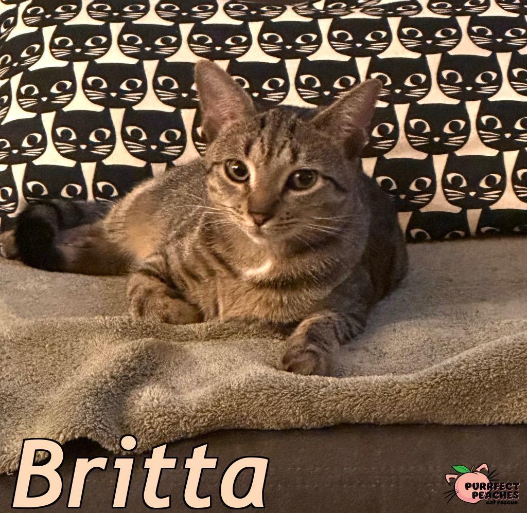 Britta