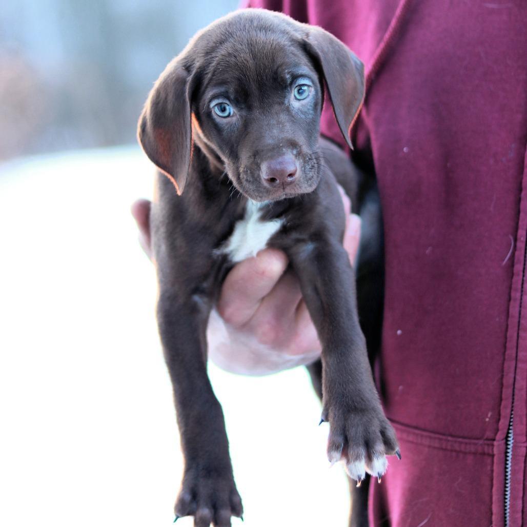 Ct Cashew Avail March