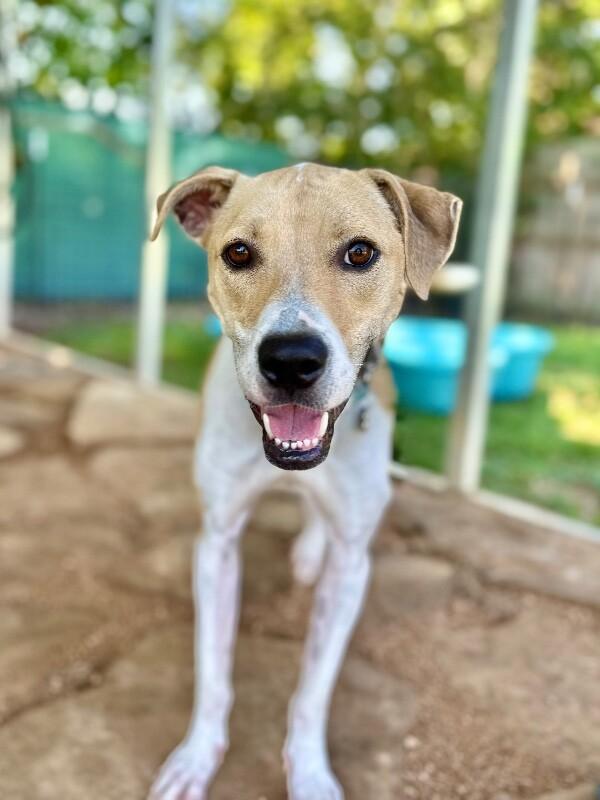 Winston Waldo Wiggly Dude photo 1