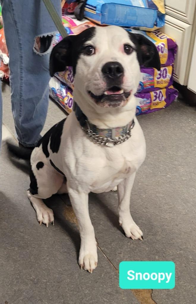 Snoopy