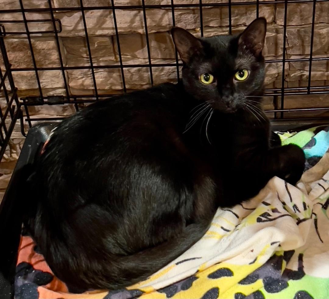 Magnus And Flower photo 1